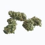 Maddog CBG