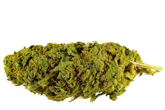 White Diesel CBD