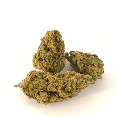 Girl Scout Cookies 