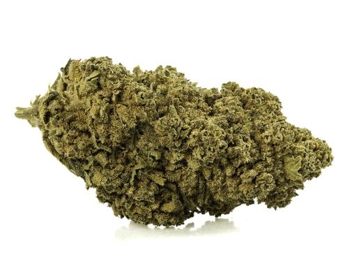White Widow 
