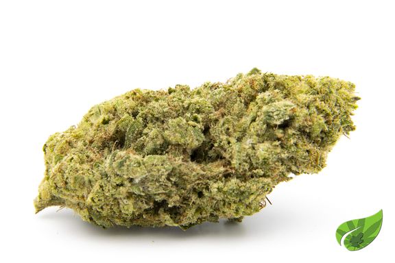 Pink Poison