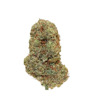 Cheese CBD