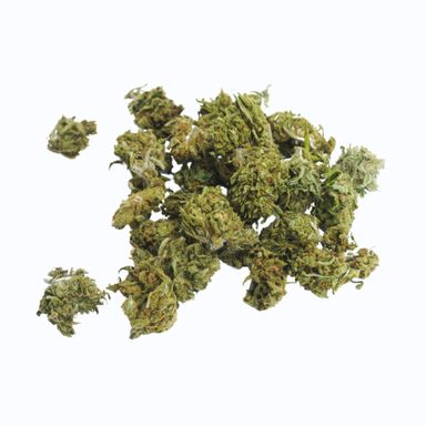 Bubble Pine smallBud